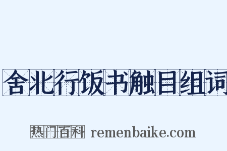 舍北行饭书触目组词是什么意思的图片